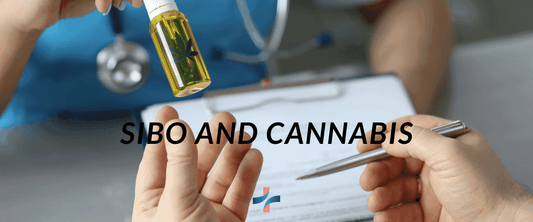 SIBO And Cannabis