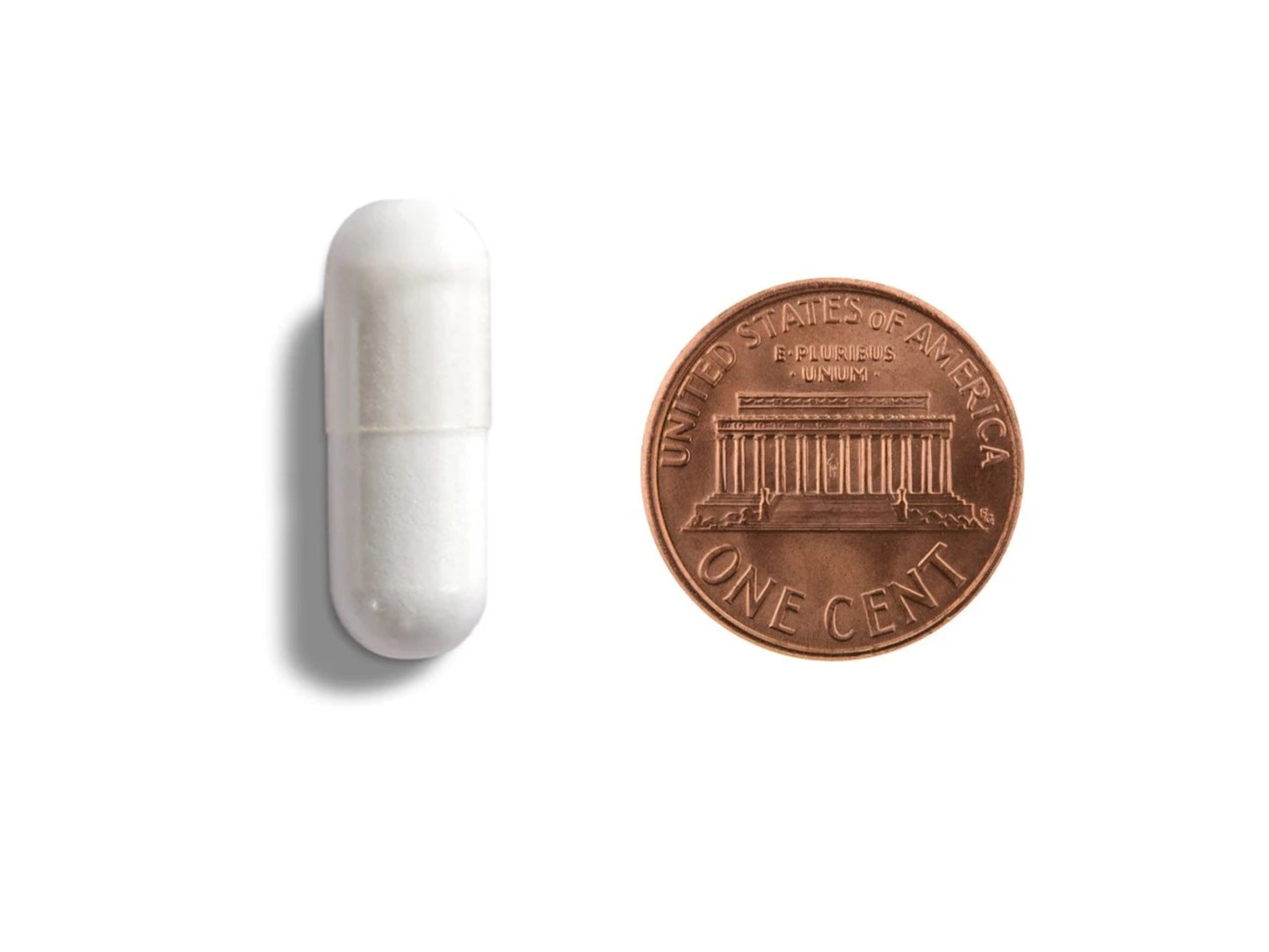 BiomeMax Probiotic ND™ - 5 billion microorganisms - 120 Capsules