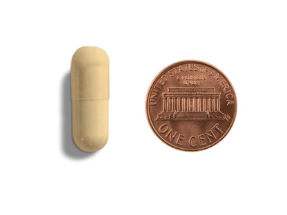 MycoPrebiotic Blend™ - IBS Prebiotic + Butyrate Support - 60 Capsules