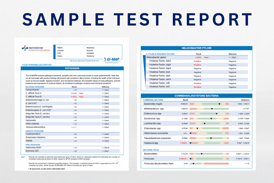 GI MAP Test - Comprehensive DNA Stool Analysis | IFDW Institute for ...