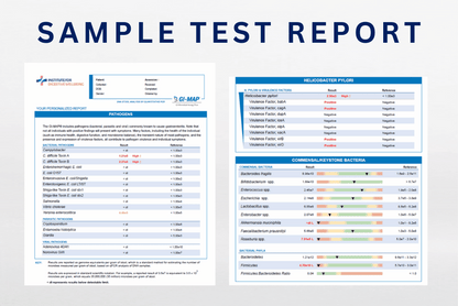 GI MAP Test Microbial Assay Plus - DNA Stool Analysis - Sample Report